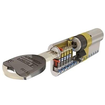 Image de Tesa Axe Abloy Cylindre de haute sécurité, TK100, double embrayage, levier court