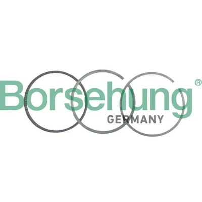 Image de Borsehung B19035 Jeu De Segments Pistons VOLKSWAGEN: Golf 4, 6, 5, AUDI: A3 3/5 portes, Sportback, A4 B5 Avant