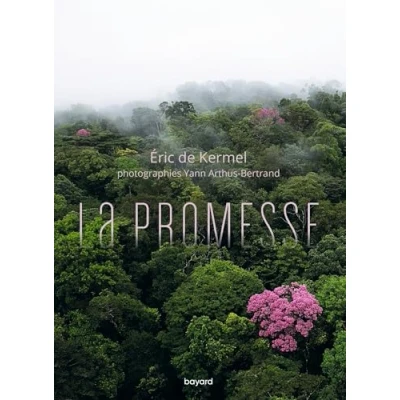 Image de La Promesse Livre d’occasion Bon