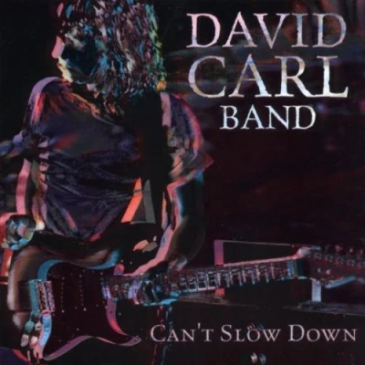 Image de Cant Slow Down [Import]