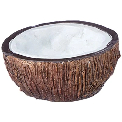 Image de Exo Terra Tiki Bol à Eau Noix de Coco