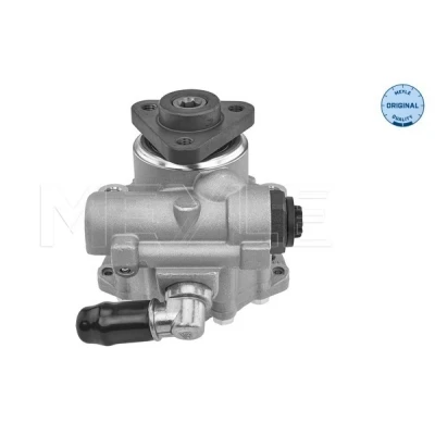 Image de MEYLE 114 631 0053 Pompe De Direction Assistée hydraulique VOLKSWAGEN: Passat B5 GP Break, Berline, AUDI: A6 C5 Avant, Berline