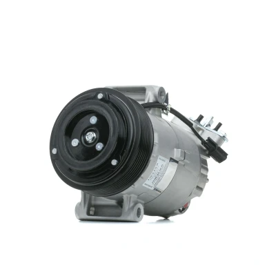 Image de DELPHI TSP0155928 compresseur De Climatisation 6CVC13 PAG 46 avec huile NISSAN: Qashqai / Qashqai+2 I