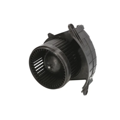 Image de THERMOTEC DDR019TT Pulseur d&#039;Air RENAULT: MASTER 3, 3 Kasten, Kangoo II / Grand