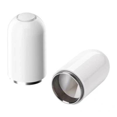 Image de DaiUni Capuchons de Rechange, Capuchon pour iPencil, Replacement Cap Magnétique Remplacement, 2 pcs(Blanc).