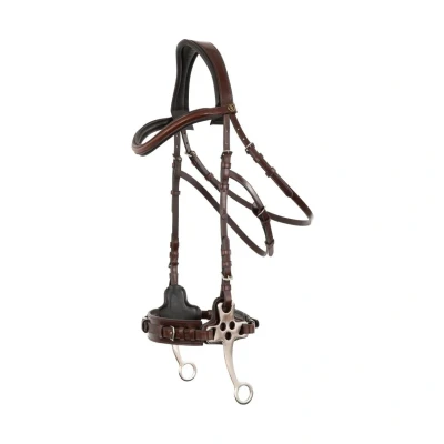 Image de BR Cisaille hackamore Bridle Lydney 152mm Full Oak / Zilver