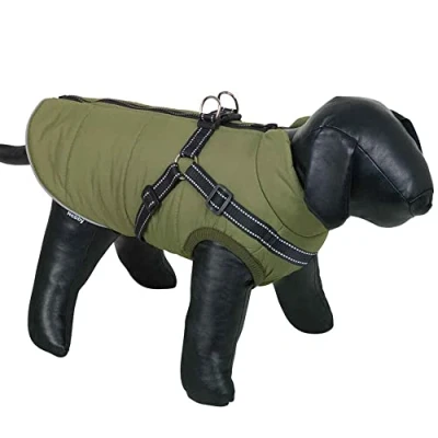 Image de NOBBY SALUS Manteau pour Chien Vert 48 cm