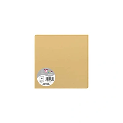 Image de Clairefontaine 1138C Paquet de 25 Cartes Simples Format Carré 16x16cm 210g/m² Coloris Caramel Cartons d&#039;Invitation Evènements et Correspondance Gamme Pollen Papier Premium Lisse