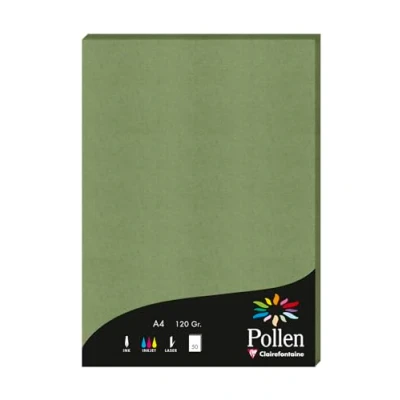 Image de Clairefontaine 4271C Un Étui de 50 Feuilles Format A4 (21x29,7cm) 120g/m² Coloris Vert Sauge Papier d&#039;Invitation Evènements et Correspondance Gamme Pollen Premium Lisse