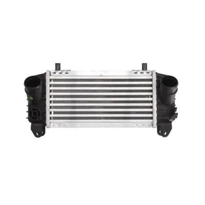 Image de THERMOTEC DAA007TT Intercooler Aluminium, Matière plastique 280 X 128 40 mm AUDI: A4 B6 Avant, Berline, B6/B7 Cabriolet