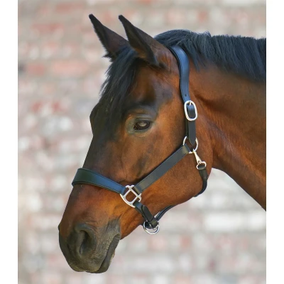 Image de Waldhausen Licol X Line Anatomic Cuir Noir Cob