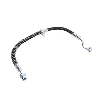 Image de DELPHI LH6977 Flexible De Frein 419 Banjo KIA: Picanto II