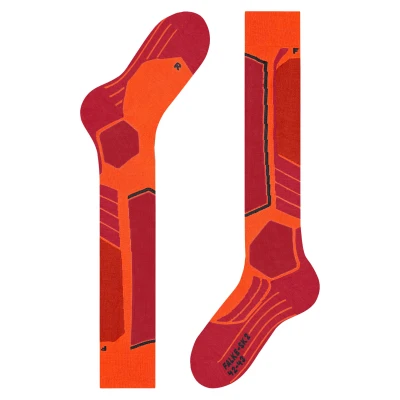 Image de Chaussettes Falke SK2 Intermediate