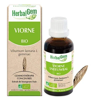 Image de Herbalgem Viorne Bio Complément Alimentaire Extrait De Bourgeon Frais Pour Voies Respiratoires 30 ml