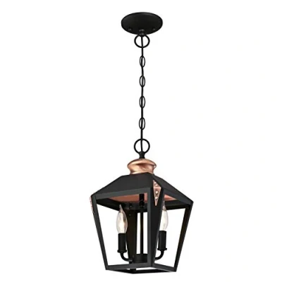 Image de Westinghouse Lighting 6328440 Luminaire Suspendu d&#039;Intérieur à deux Lampes, Verre, Noir Mat