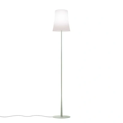Image de Foscarini Birdie Easy Reading Lampadaire Green