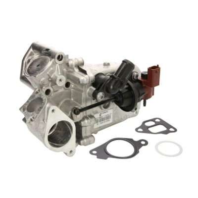 Image de PIERBURG 7.03622.06.0 Refroidisseur EGR avec joint d&#039;étanchéite OPEL: Astra J 5 portes, Berline, Corsa D 3/5 FIAT: Doblo II Break