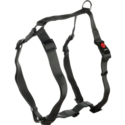Image de Flamingo Harnais pour Chien H Ziggi Gris foncé XL 70 à 110cm 25mm Réglable en continu avec Anneau Attacher Une Laisse Boucle clic et Bouton de sécurité