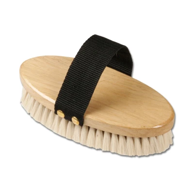 Image de Brosse douce reluisante et Waldhausen
