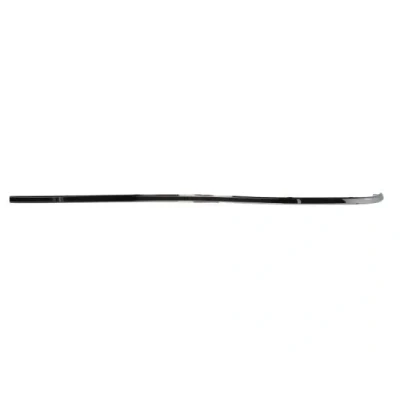 Image de Baguette décorative/de protection, pare chocs BLIC 5703 05 3527971P Gauche