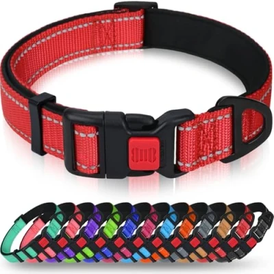 Image de Taglory Collier pour Chien, en Nylon Réfléchissant Réglable Classique avec Rembourré Doux Respirant Mesh Petits Chiens, S, Rouge