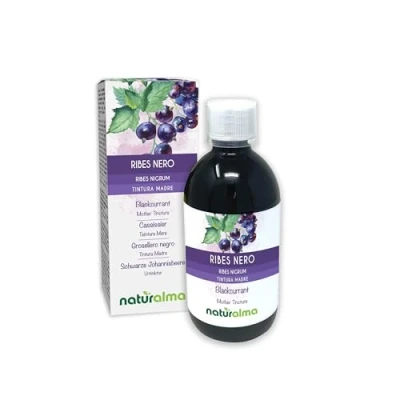 Image de Cassissier (Ribes nigrum) feuilles et fruits Teinture Mère sans alcool Naturalma Extrait liquide gouttes 500 ml Complément alimentaire Végétalien ou végan