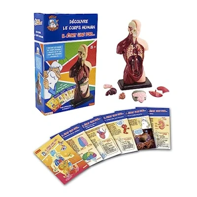 Image de SILVERLIT Hello Maestro Il était une fois. Découvre le Corps Humain Jeu Educatif A partir de 8 ans Vie, 430357, ROUGE ET BLEU