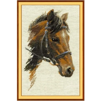 Image de RIOLIS RI 826 Kit de Broderie au Point Croix Bulat Multicolore