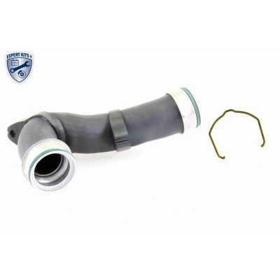 Image de VAICO V10 5313 Gaine De Suralimentation Caouchouc textilé avec agrafe VOLKSWAGEN: Golf 4, Bora Variant, Berline, SEAT: Leon II 3/5 portes