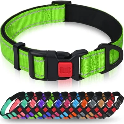 Image de TAGLORY Collier pour Chien, en Nylon Réfléchissant Réglable Classique avec Rembourré Doux Respirant Mesh Petits Chiens, S, Vert