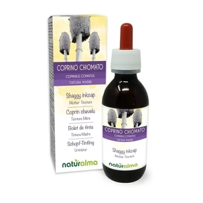 Image de Coprin chevelu ou goutte d&#039;encre (Coprinus comatus) champignon Teinture Mère sans alcool Naturalma Extrait liquide gouttes 120 ml Complément alimentaire Végétalien végan