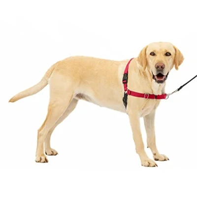 Image de PetSafe Harnais pour Grand Chien Easy Walk (L), Résistant, Anti Traction avec 4 points de Réglage un Confort Maximal Rouge