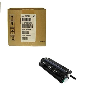 Image de Ricoh 406662 Noir Tambour