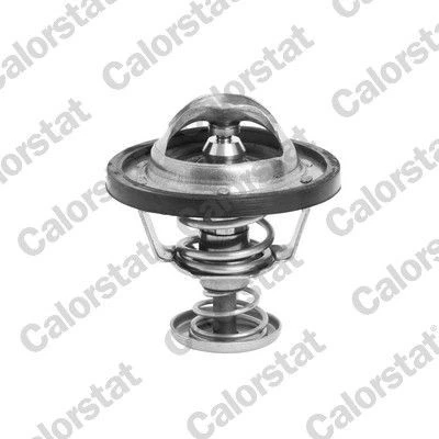 Image de Thermostat d&#039;eau CALORSTAT by Vernet TH6295.82J