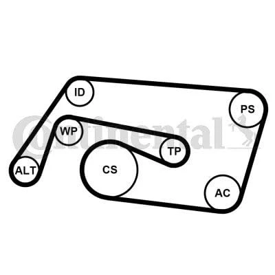 Image de CONTITECH 6PK2260K2 Jeu de courroies trapézoïdales à nervures MERCEDES BENZ: Classe C Coupe, Berline, CLK Coupe
