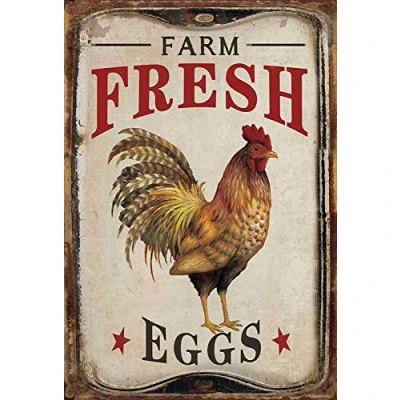 Image de NOASR Schatzmix Nostalgie Hühner Farm Fresh Eggs Plaque en métal 20 x 30 cm décorative tôle, Multicolore