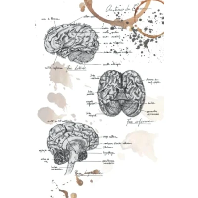 Image de Carnet de notes Notebook : Vintage anatomy collection the brain