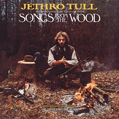 Image de Songs from The Wood Steven Wilson Remix