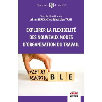 Image de Explorer la flexibilité des nouveaux modes d&#039;organisation du travail