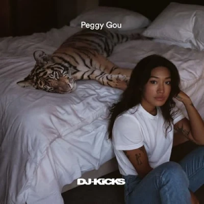 Image de DJ Kicks