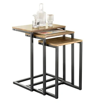 Image de SoBuy Lot de 3 Tables Basses gigognes, Set d&#039;appoint Empilables, Table Basse, Bouts canapé, Style Industriel, FBT102 F