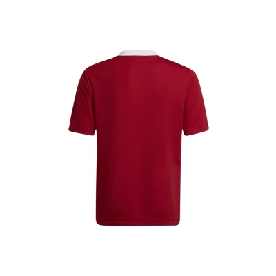 Image de adidas Performance Entrada 22 Maillot de foot pour enfants, Taille: 152, Team power red