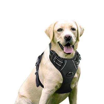 Image de rabbitgoo Harnais Chien Anti Traction, Arnet pour Réfléchissant Réglable, Gilet avec Poignée Contrôle Attache Devant, Respirante Solide, Couleur Noir, Taille XL