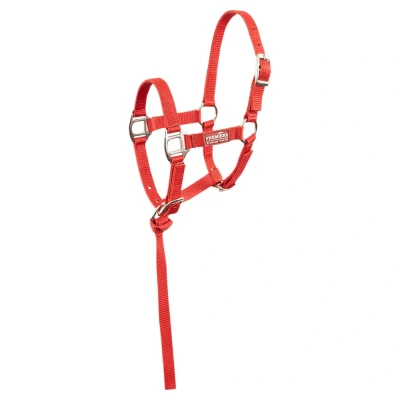 Image de Premiere Ensemble Poulain Halser Brisk Avec Mini Ligne Pompeian Red XS