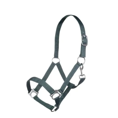 Image de HKM Licol Brisbane Vert Foncé Cob