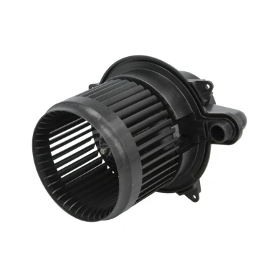 Image de Ventilateur d&#039;habitacle THERMOTEC DDR025TT