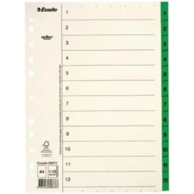 Image de ESSELTE 69873 Indice para carpetas multitaladro papel MYLAR DIN A4 con cartulina índice 1 12 beige