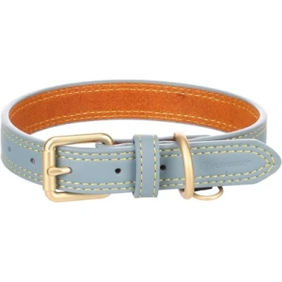 Image de Flamingo Collier pour Chien Virginia Bleu Clair S/M 31 39cm 20mm avec Un Anneau étiquette d&#039;identification Cousu Une Plus Grande résistance