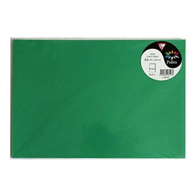Image de Clairefontaine 26123C Sachet de 5 Feuilles Format A4 (21x29,7cm) 120g/m² Coloris Vert Sapin Invitation Evènements et Correspondance Gamme Pollen Papier Premium Lisse