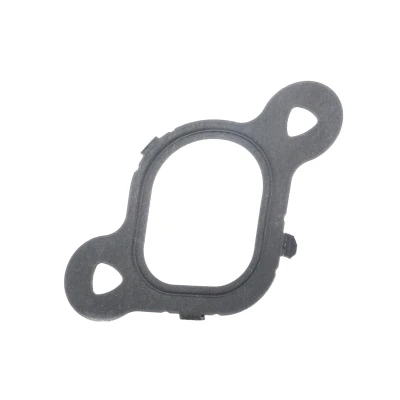 Image de REINZ 71 37538 00 Joint Collecteur d&#039;Admission pour cylindre 1 VOLKSWAGEN: Multivan 5 (7HM, Touareg I, Transporter Bus